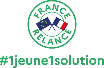 logo 1 jeune 1 solution